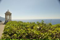 Саша Sspector фотография #43 (источник - https://vk.com/id196559)