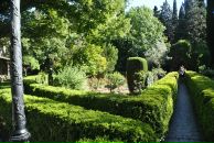 Саша Sspector фотография #16 (источник - https://vk.com/id196559)