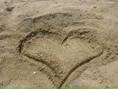 Ірина Кіндратюк фотография #42 (источник - https://vk.com/id23949890)