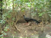 Клевый Парень фотография #36 (источник - https://vk.com/id391001)