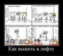 Діма Барон фотография #43 (источник - https://vk.com/id52504283)