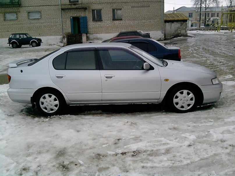 Сергей Торгов фотография #22