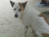 Фотография Стюарта Александра