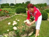 Світлана Цвiкiлевич фотография #7 (источник - https://vk.com/id75205539)