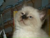 Фотография Калинской Елены