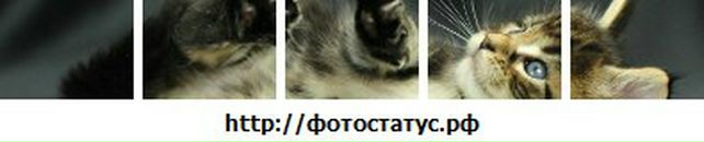 Сабріна Алієва фотография #3 (источник - https://vk.com/id140458033)