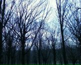 Віталій Крикливий фотография #19 (источник - https://vk.com/id69604341)