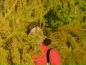 Фотография Желудковой Елены