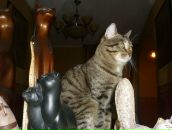 Фотография Костенко Елены