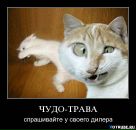 Фотография Данилова Алексея