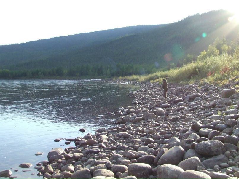 Наталья Софронова фотография #8