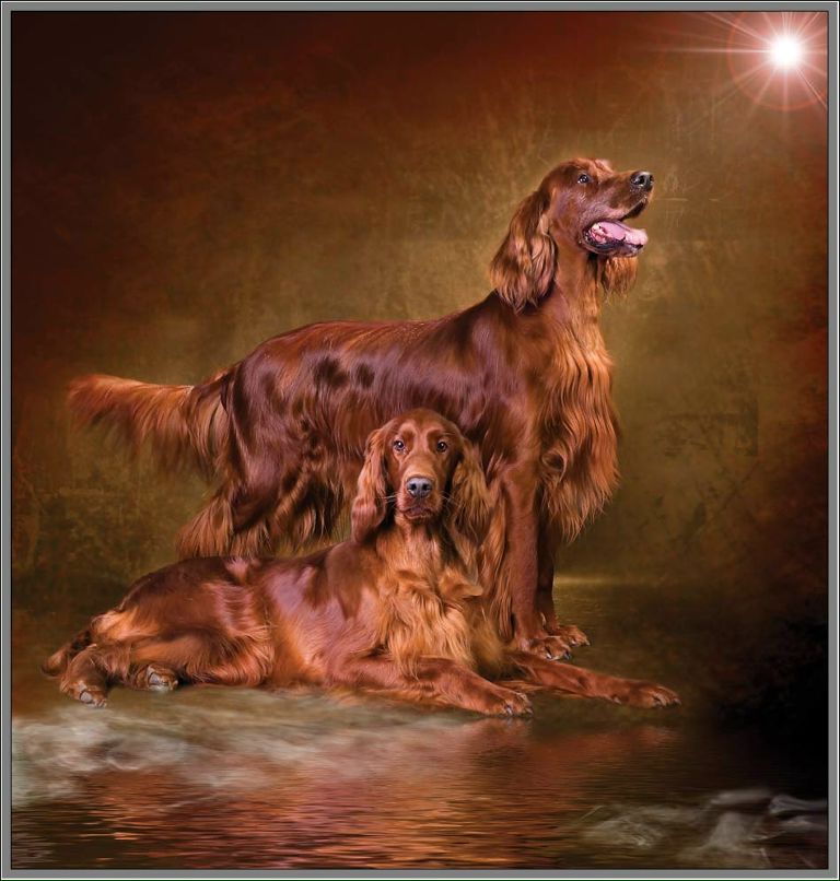 Александр Бреус фотография #9