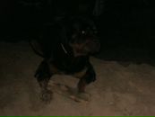 Фотография Машинина Михаила