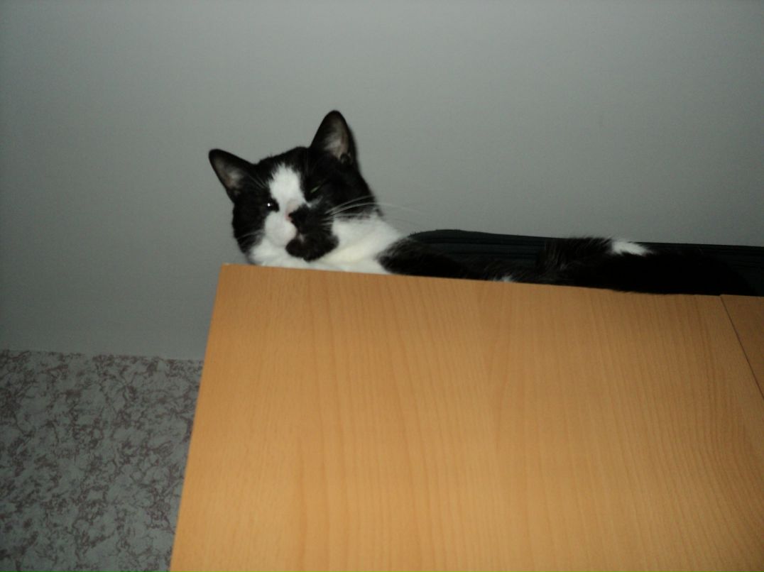 Антон Борзенков фотография #48