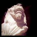 Игорь Хохлов фотография #31 (источник - https://vk.com/id512608)