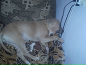 Серий Челядін фотография #27 (источник - https://vk.com/id7693308)