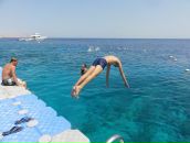 Егор Сапожников фотография #29 (источник - https://vk.com/id15966535)