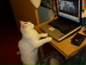 Фотография Рябчиковой-Павловой Татьяны