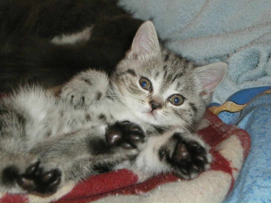 Юля Елистратова фотография #21