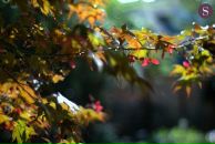 Фотография Филатов Юрий