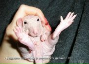 Лєна Маїло фотография #46 (источник - https://vk.com/id105605263)