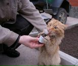 Вадим Чебоненко фотография #1