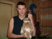 Фотография  