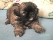 Віка Галабурда фотография #29 (источник - https://vk.com/id33779117)