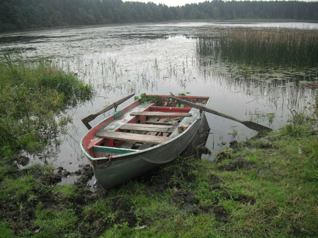 Дмитрий Малинкин фотография #6