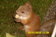 Фотография Цициной Анны