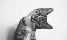 Сима Угарова фотография #45 (источник - https://vk.com/id1824811)