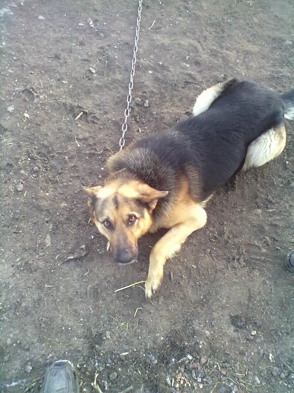 Дима Иванов фотография #46