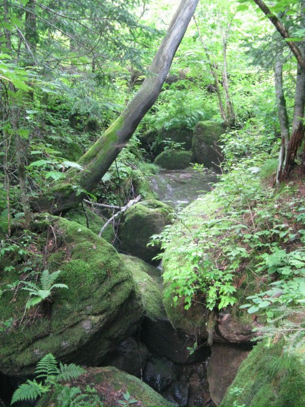 Антон Фандеев фотография #39