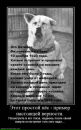 Іван Іванов фотография #44 (источник - https://vk.com/id12286885)