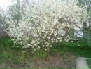 Фотография Самад Набиев