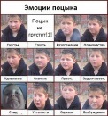 Фотография Соколянского Леонида