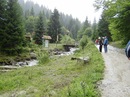 Діма Андрієвський фотография #21 (источник - https://vk.com/id104046190)