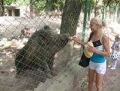 Ірина Солодка фотография #19 (источник - https://vk.com/id61477928)