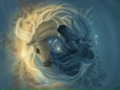 Фотография Загуры Елены