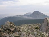 Фотография Орешкина Вити