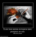 Аліна Цехмістер фотография #30 (источник - https://vk.com/id34642795)