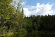 Павел Волк фотография #27 (источник - https://vk.com/id470503)