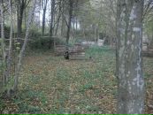 Леді Вікторія фотография #29 (источник - https://vk.com/id104307415)