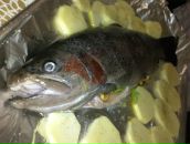 Міша Миронюк фотография #27 (источник - https://vk.com/id65674418)