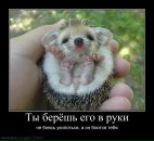Face Off фотография #29 (источник - https://vk.com/id1448729)