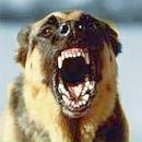 Діма Лучко фотография #8 (источник - https://vk.com/id33647527)