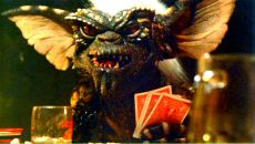 Фотография Синодкина Родиона