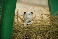 Антон Шумаков фотография #22 (источник - https://vk.com/id2967216)