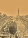 Ігор Козенко фотография #49 (источник - https://vk.com/id120854039)