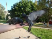 Фотография Валеевой Катерины